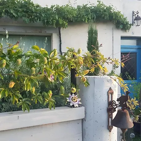 Bed and Breakfast D'hotes De La Vaine Cartelegue